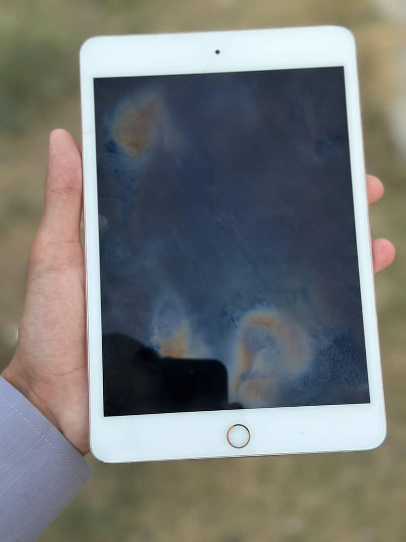 ipad mini 5 6