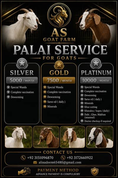 Home Palai Service