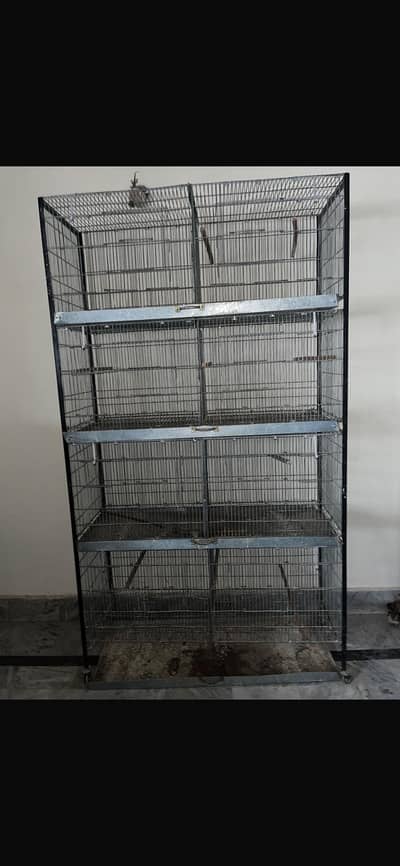 Birds cage