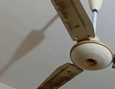 ceiling fan copper