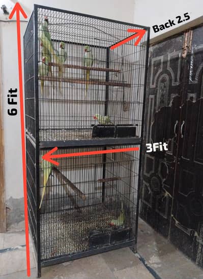 Angel Cage with deep tray