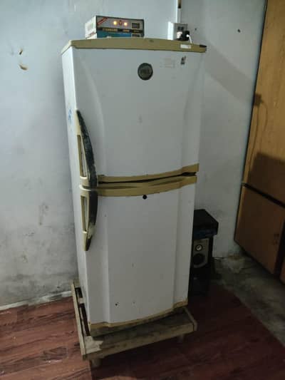 PEL MEDIUM SIZE
