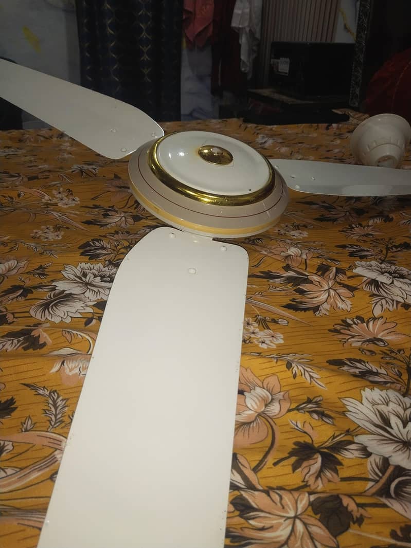 ceiling fan 1