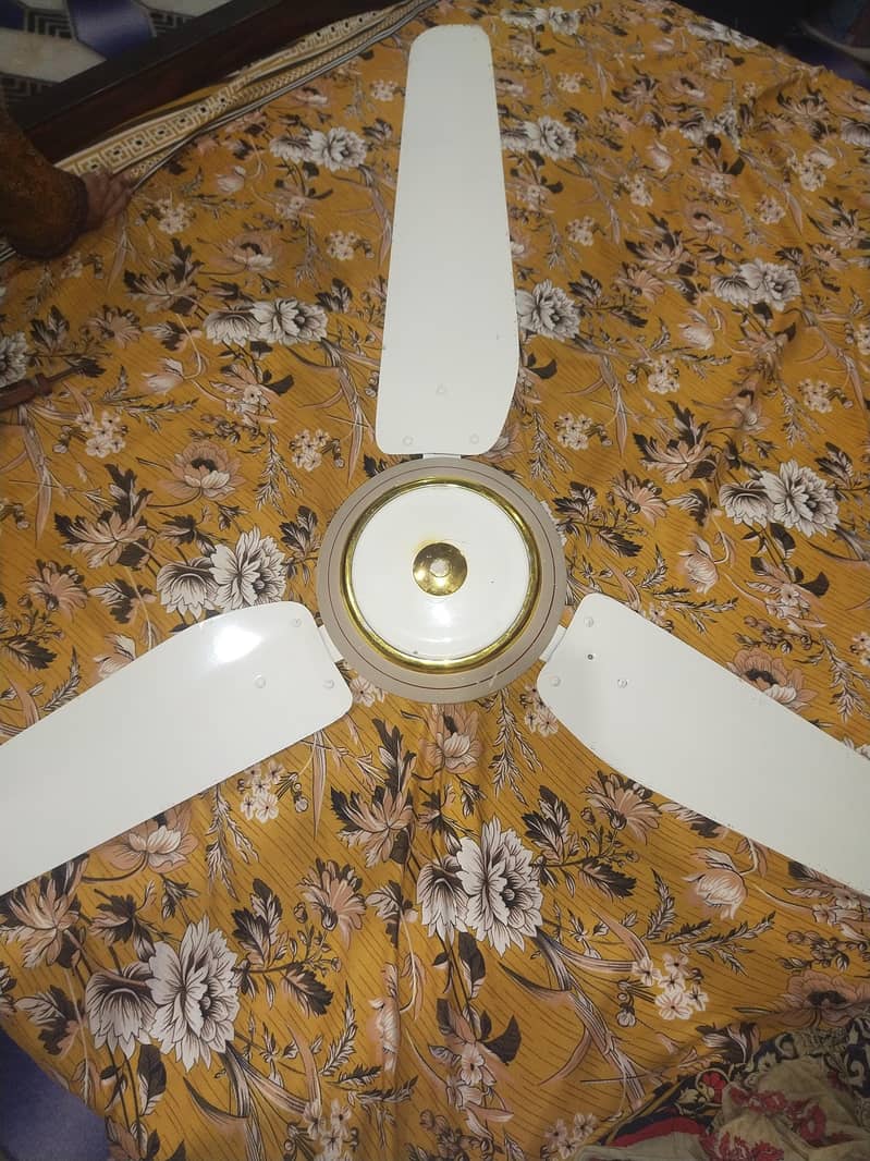 ceiling fan 2