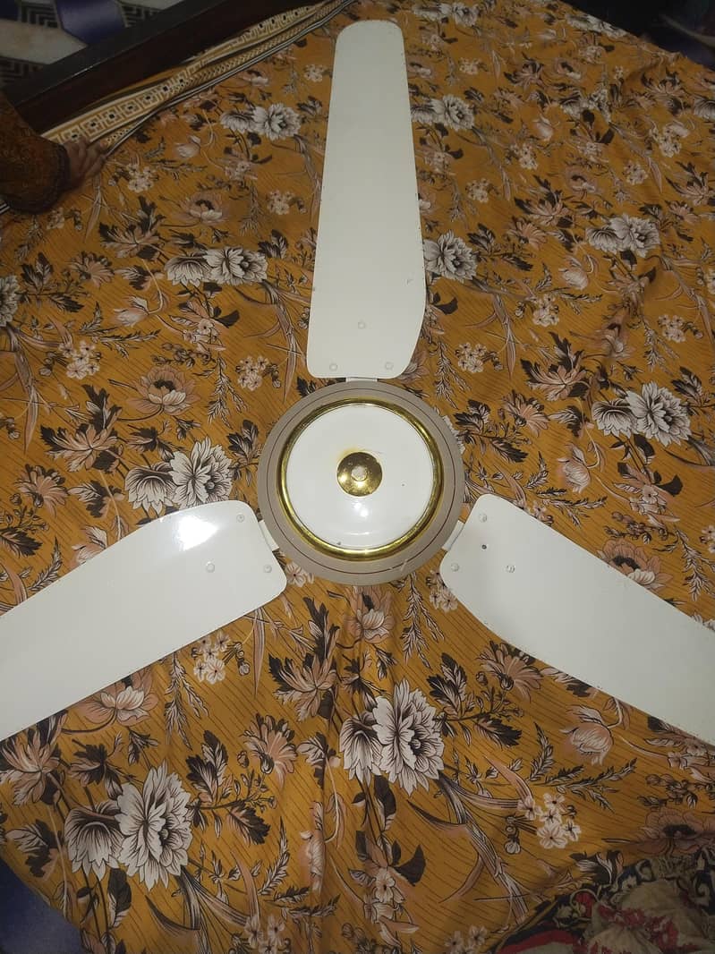 ceiling fan 3