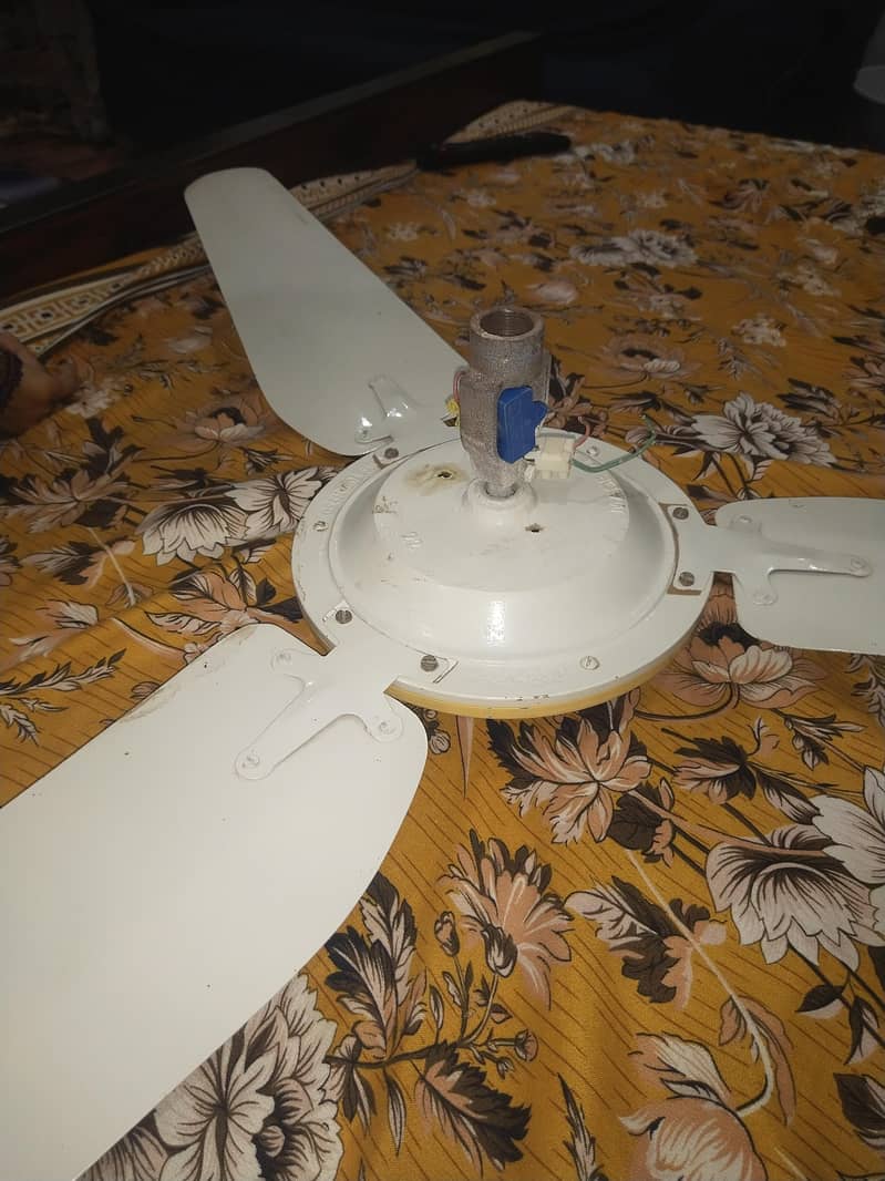 ceiling fan 5