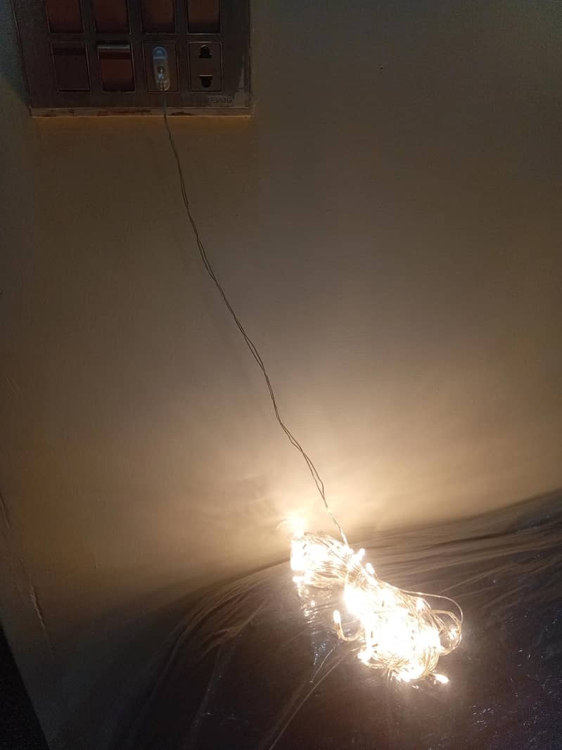 Wedding Lights 5