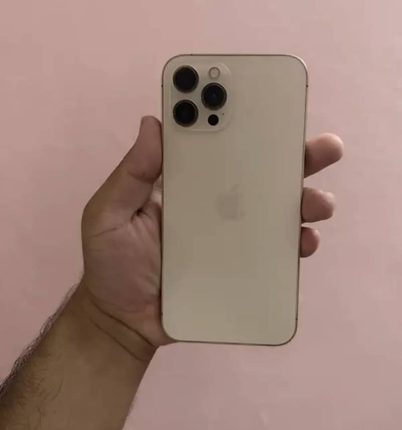 Iphone 12 pro max 1