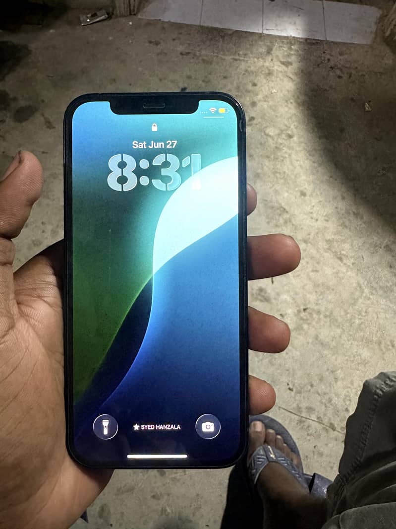 Apple iPhone 12 1