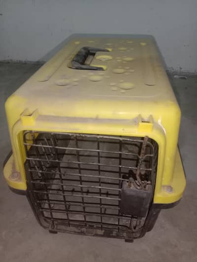traveling boxe cat . dog. rabbit. bird's