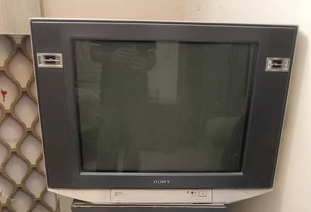 Sony vega tv
