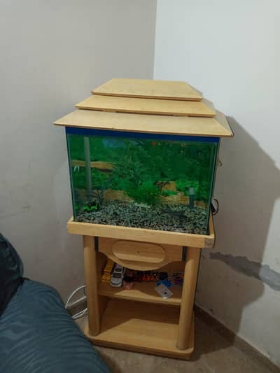 fish aquarium for sale