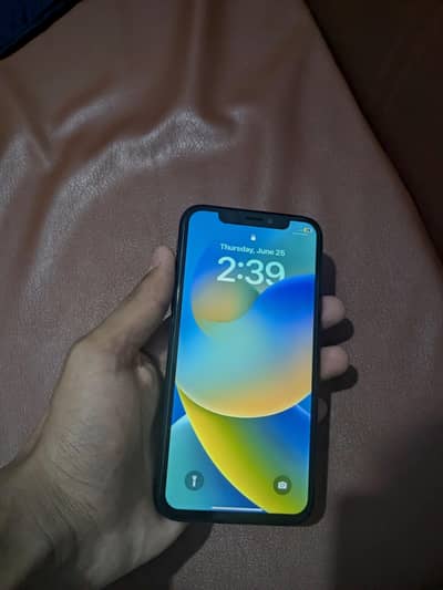 Apple iPhone X