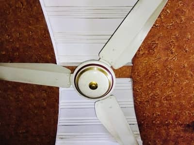 Ceiling fan A-one