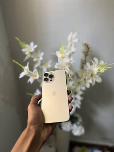 Apple iPhone 13 Pro Max