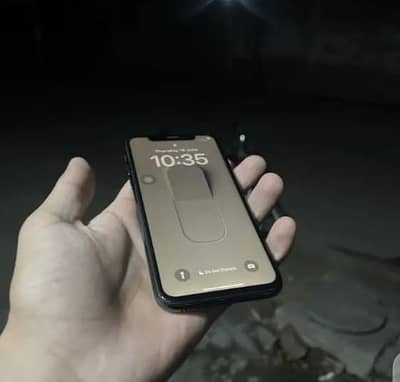Apple iPhone X
