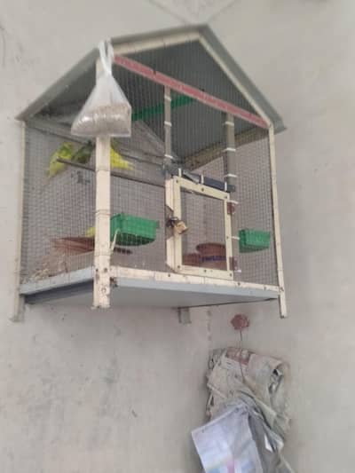 3 pears bagri tote+ pinjre k sath hain