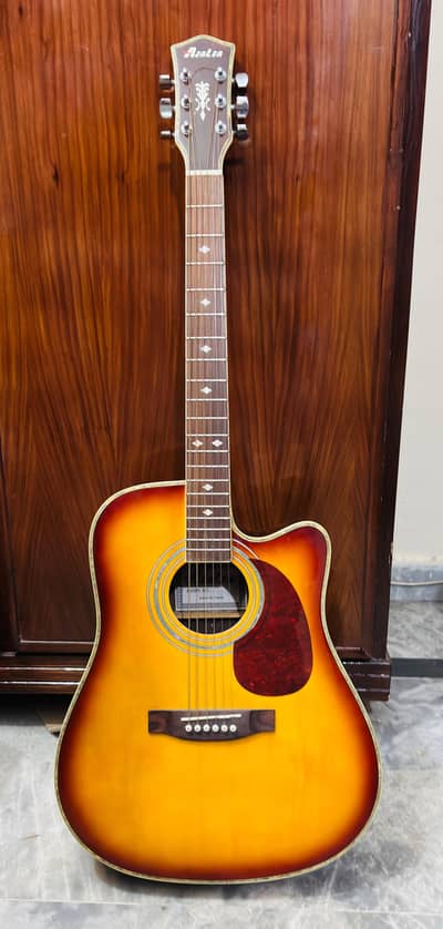 Guitar