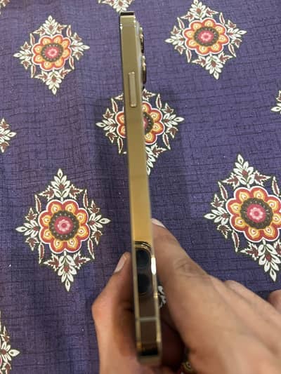 Iphone 13 pro max PTA approved