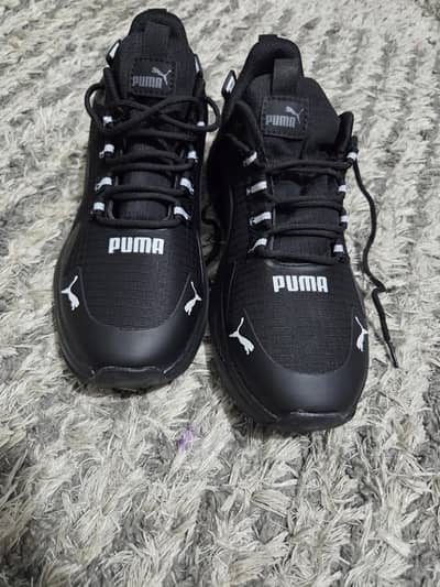 Black Joggers Sports Shoes Size 43 New Box Pack 0330-4909999