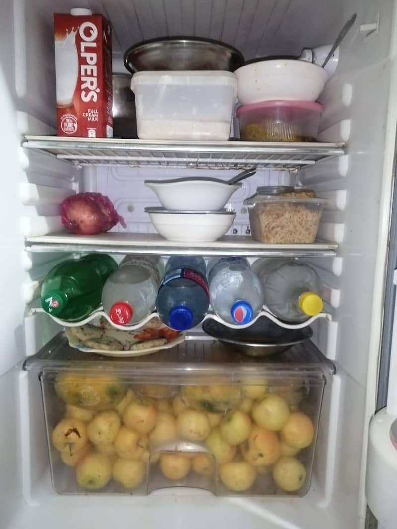 fridge 2