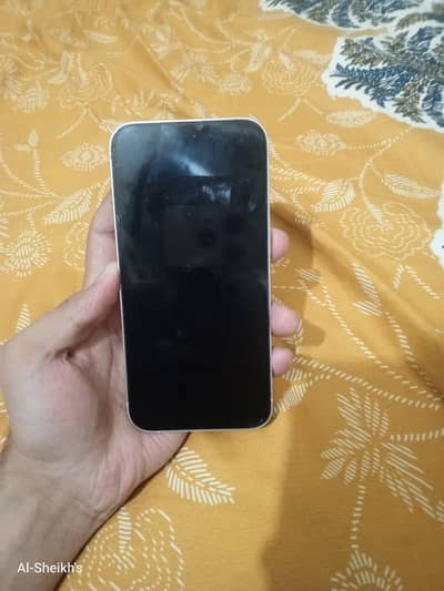 Apple iPhone 13