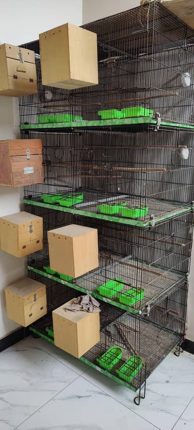 Master Cage 8 Portion