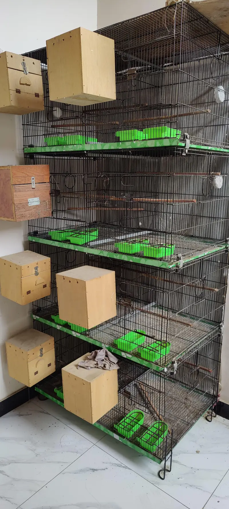Master Cage 8 Portion