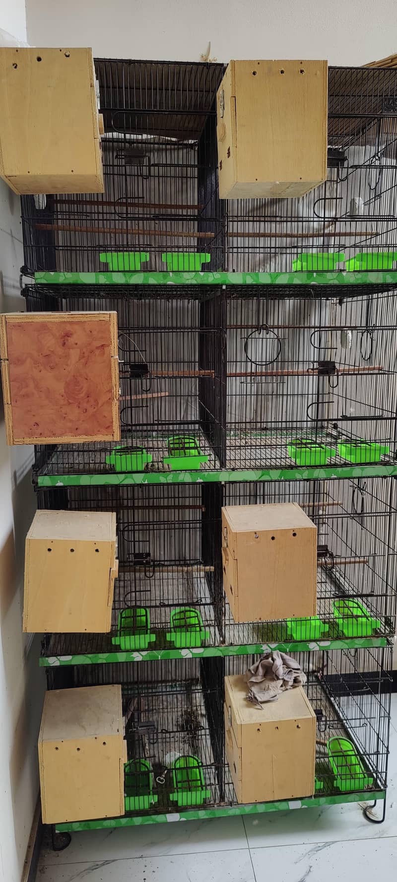 Master Cage 8 Portion 1