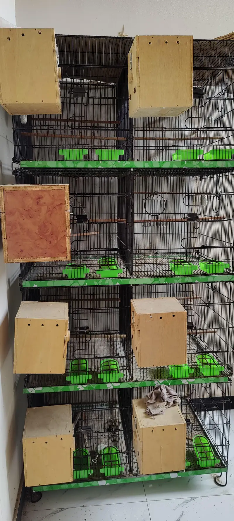 Master Cage 8 Portion — photo 2