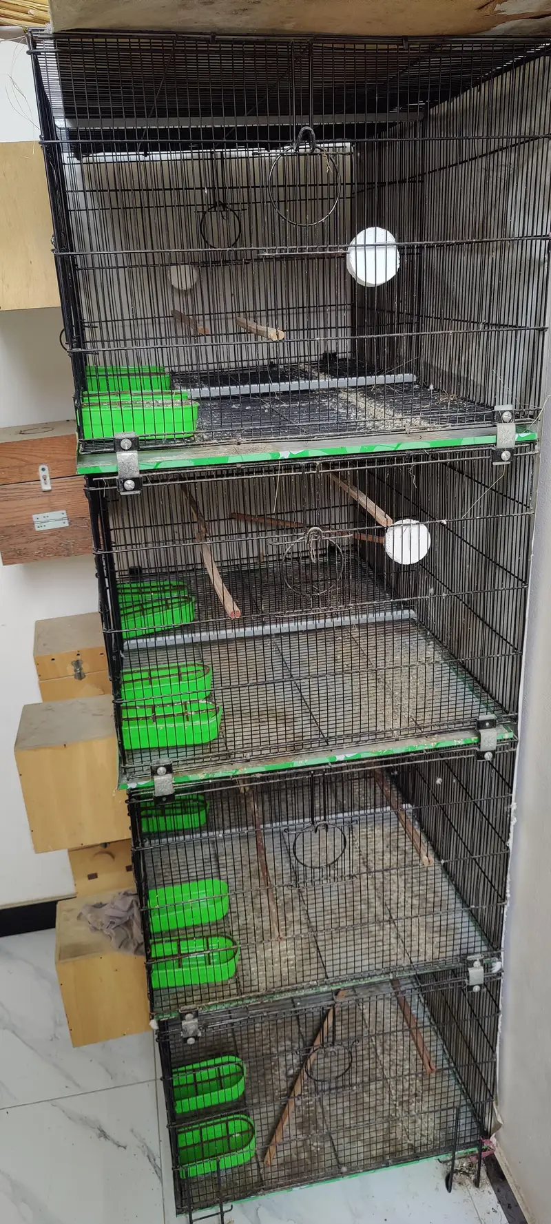 Master Cage 8 Portion — photo 3