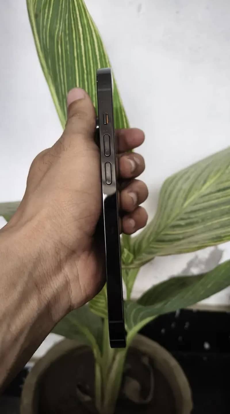 iPhone 14 Pro 2