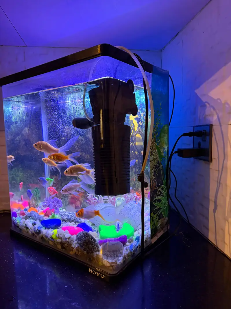 Aquarium With Fishes — photo 3
