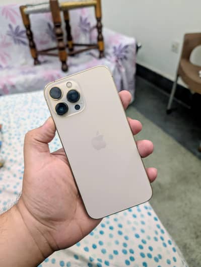 Apple iPhone 13 Pro Max