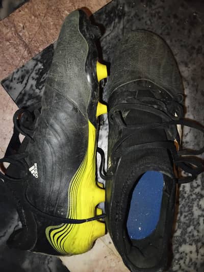 Adidas copa 2024