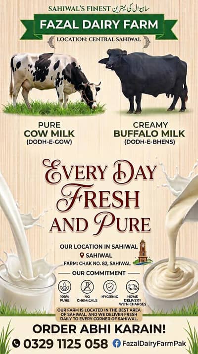 cow and buffalo milk