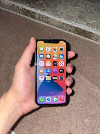 Apple iPhone 12