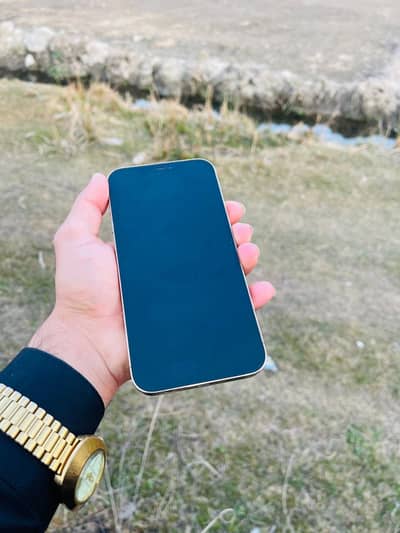Apple iPhone 12 Pro Max
