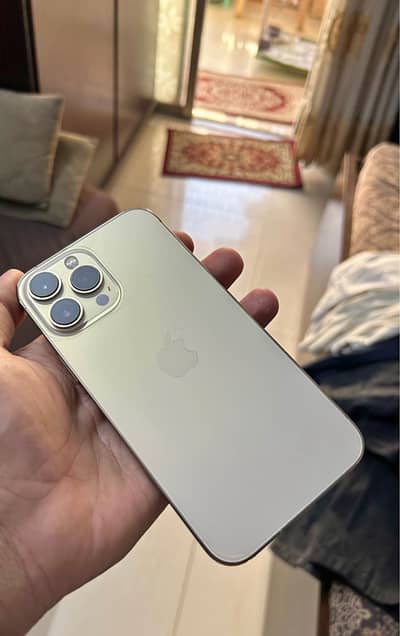 13Pro Max ( 256Gb )