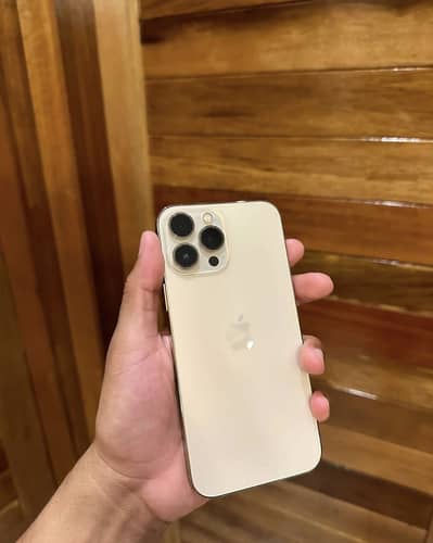 Apple iPhone 13 Pro Max