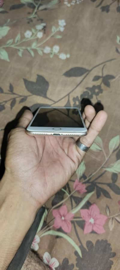 i phone 8 plus approved