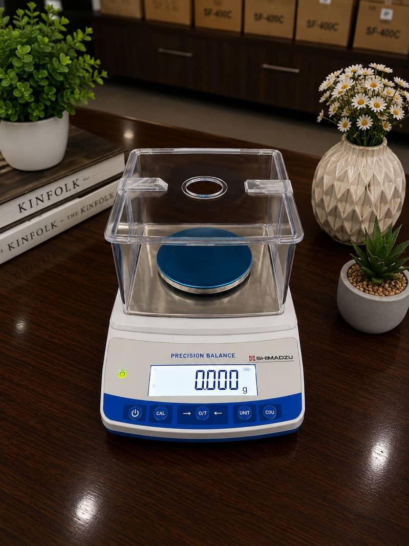 BALANCE SCALE 1