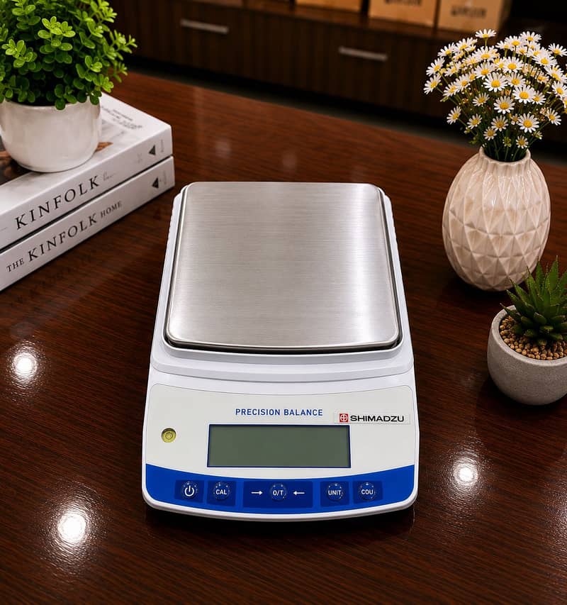 BALANCE SCALE 2