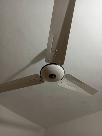Pak Fan