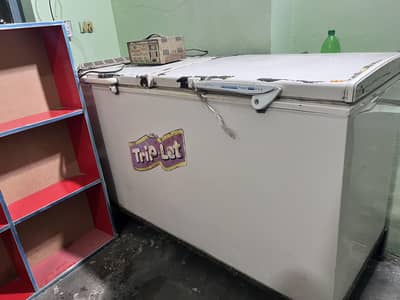 Waved Double Door Freezer
