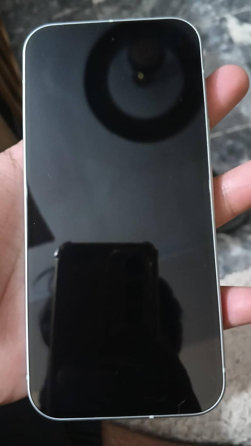 Google Pixel 9 1