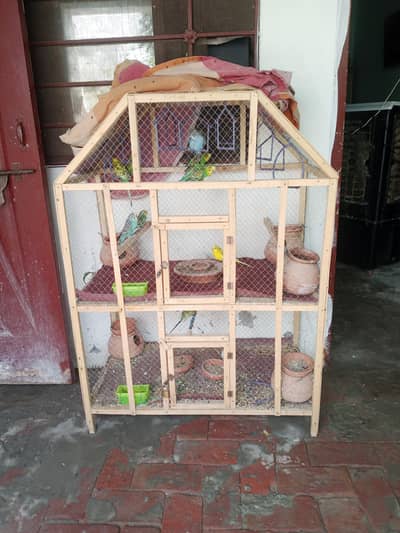 16 Birds Budgies for Sale with Cage
