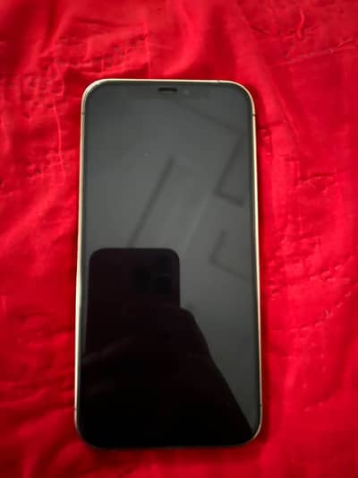 Apple iPhone 12 Pro