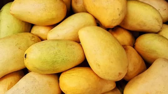 Premium Chaunsa Mangoes – Farm Fresh