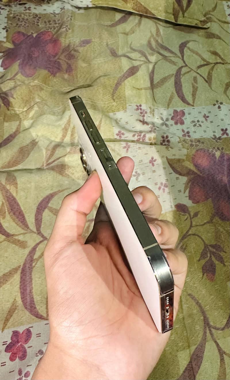 iPhone 13 Pro max JV 1